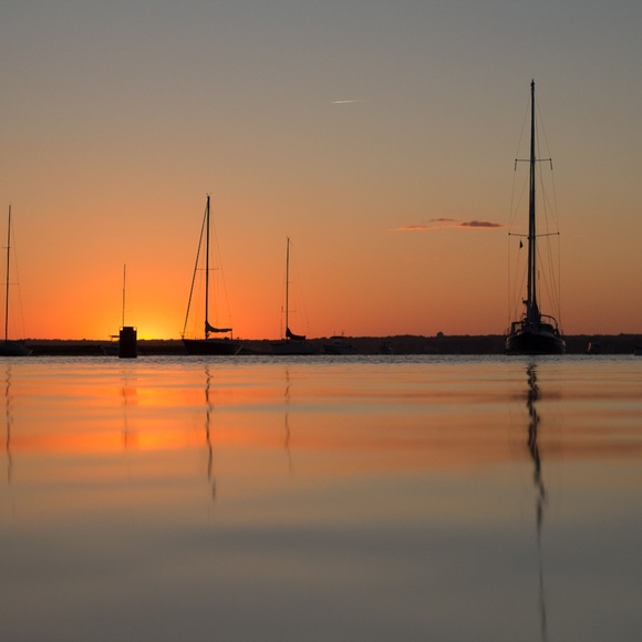 Meet your Posher, Julia - Picture 3 of 4